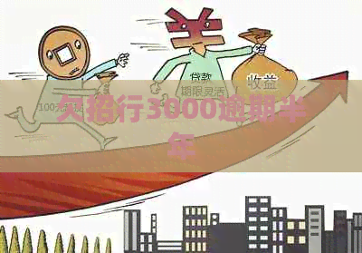 欠招行3000逾期半年
