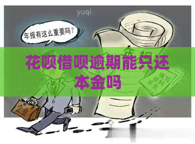 花呗借呗逾期能只还本金吗