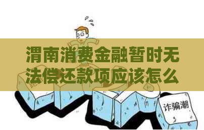 渭南消费金融暂时无法偿还款项应该怎么处理