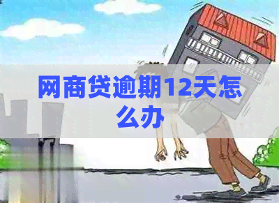 网商贷逾期12天怎么办
