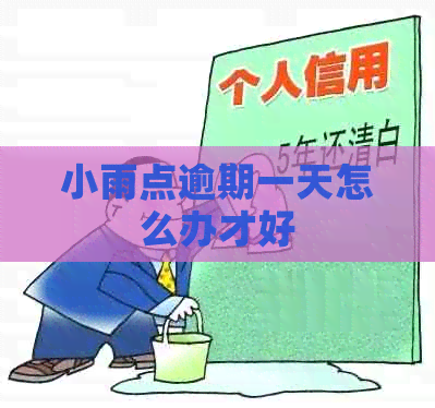 小雨点逾期一天怎么办才好