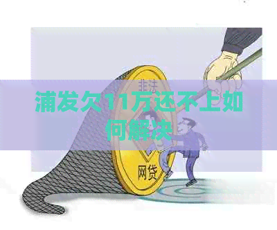 浦发欠11万还不上如何解决