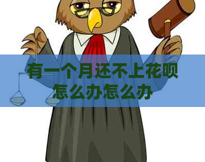 有一个月还不上花呗怎么办怎么办