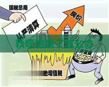 秋呗逾期了怎么办