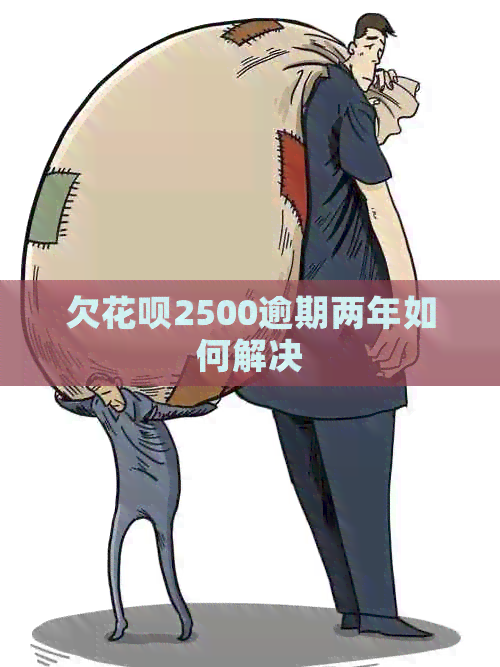 欠花呗2500逾期两年如何解决