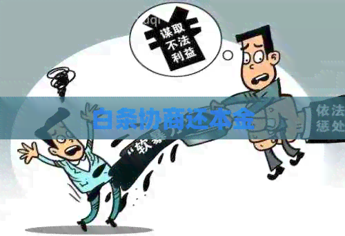 白条协商还本金