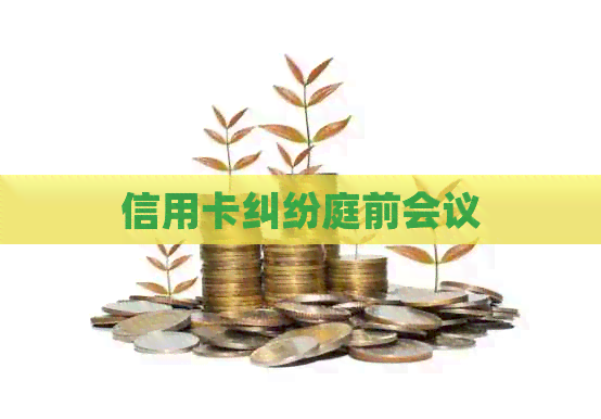 信用卡纠纷庭前会议