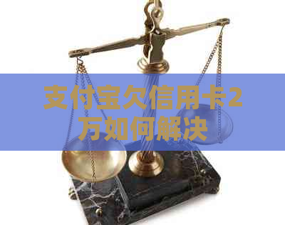 支付宝欠信用卡2万如何解决