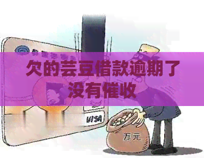 欠的芸豆借款逾期了没有