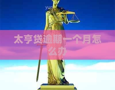 太亨贷逾期一个月怎么办