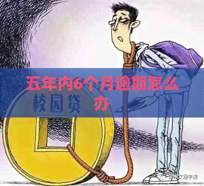 五年内6个月逾期怎么办
