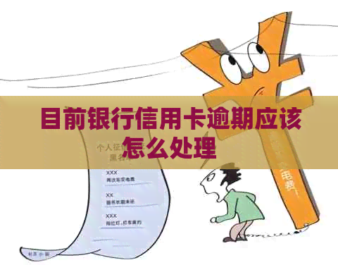 目前银行信用卡逾期应该怎么处理