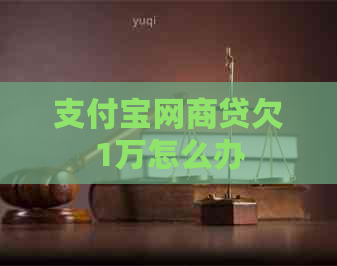 支付宝网商贷欠1万怎么办