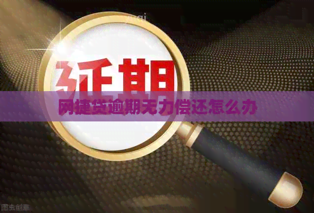 网捷贷逾期无力偿还怎么办