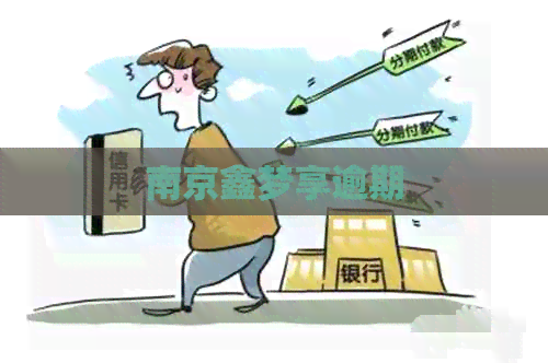南京鑫梦享逾期