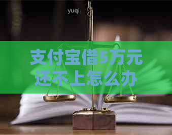 支付宝借5万元还不上怎么办