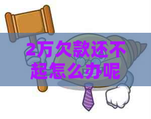 2万欠款还不起怎么办呢