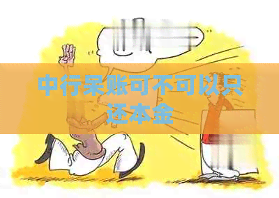 中行呆账可不可以只还本金