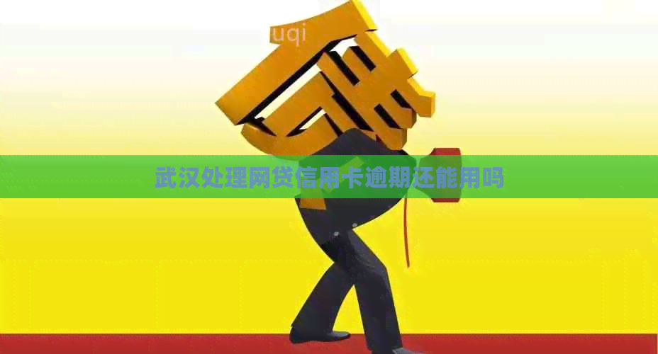 武汉处理网贷信用卡逾期还能用吗