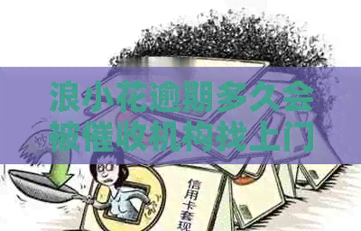 浪小花逾期多久会被机构找上门呢