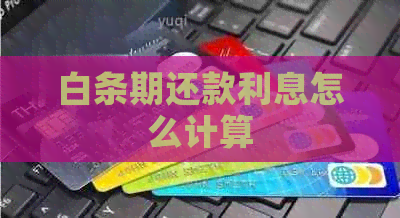 白条期还款利息怎么计算
