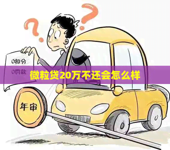 微粒贷20万不还会怎么样
