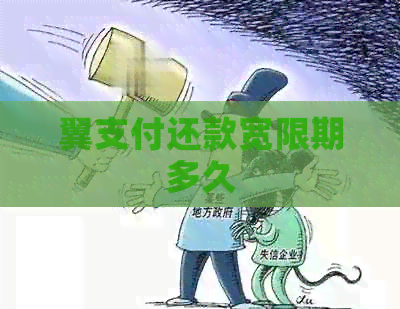 翼支付还款宽限期多久