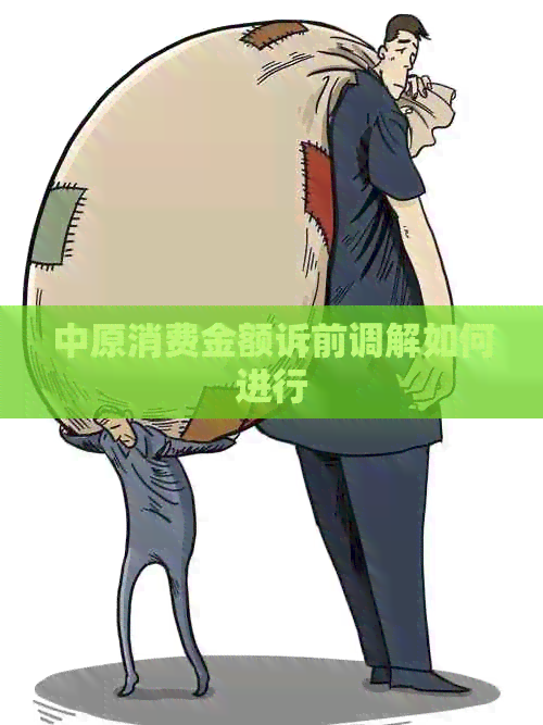 中原消费金额诉前调解如何进行