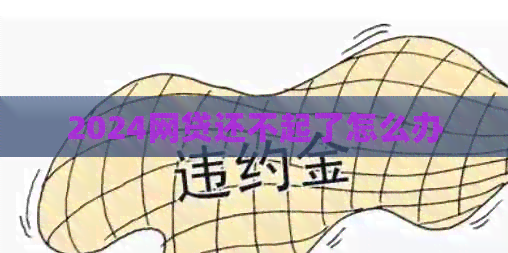 2024网贷还不起了怎么办