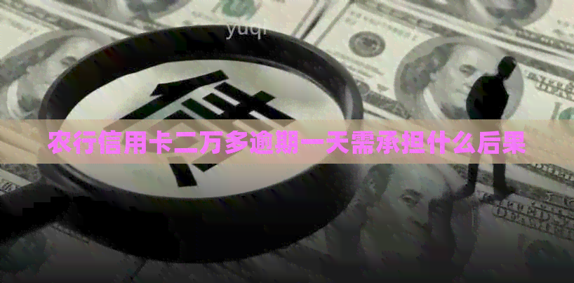 农行信用卡二万多逾期一天需承担什么后果