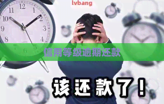 信用等级逾期还款
