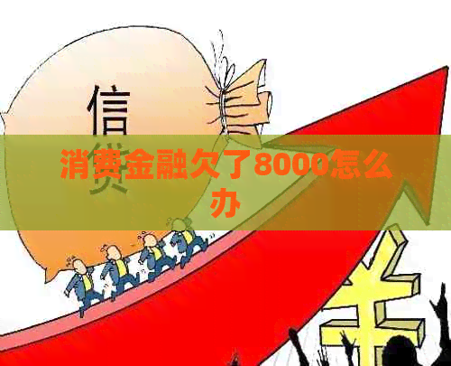 消费金融欠了8000怎么办
