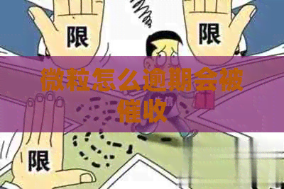 微粒怎么逾期会被