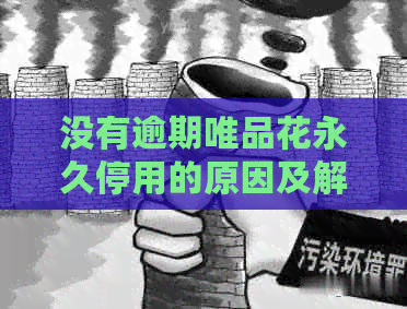 没有逾期唯品花永久停用的原因及解决方法