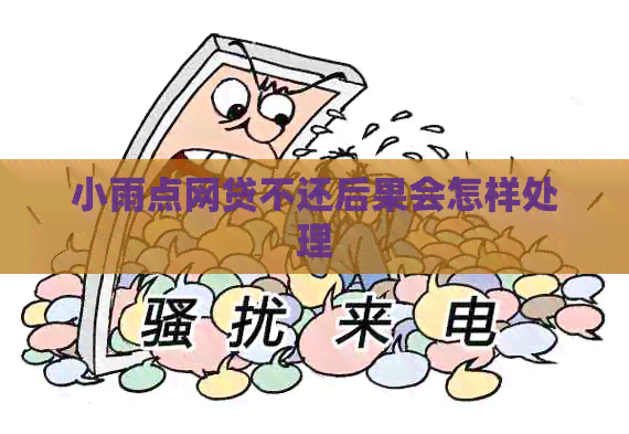 小雨点网贷不还后果会怎样处理