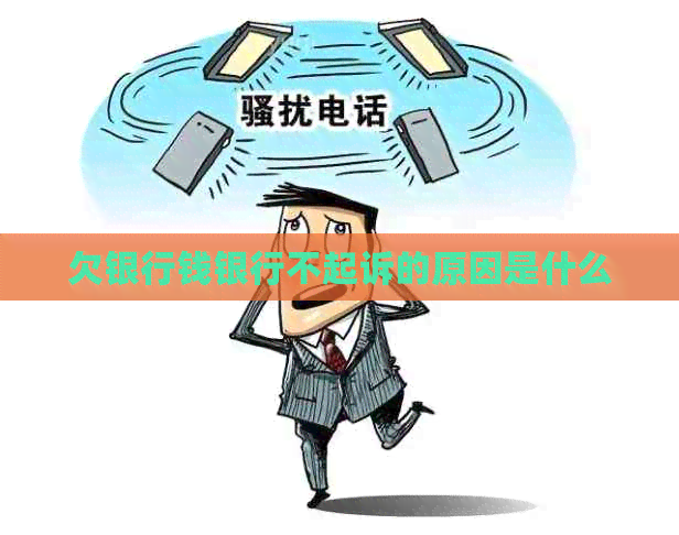 欠银行钱银行不起诉的原因是什么