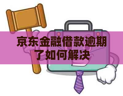 京东金融借款逾期了如何解决
