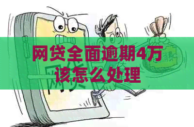 网贷全面逾期4万该怎么处理