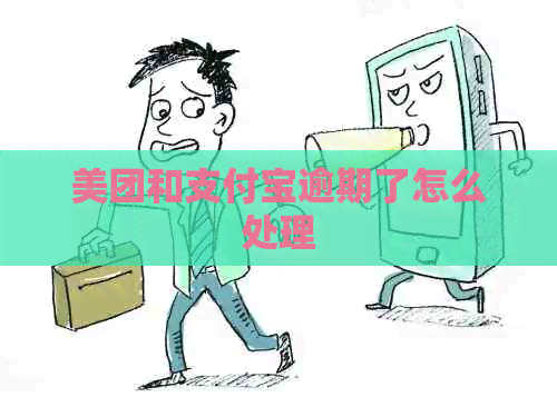 美团和支付宝逾期了怎么处理
