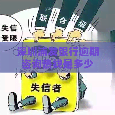 深圳浦发银行逾期咨询热线是多少