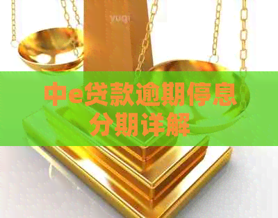 中e贷款逾期停息分期详解