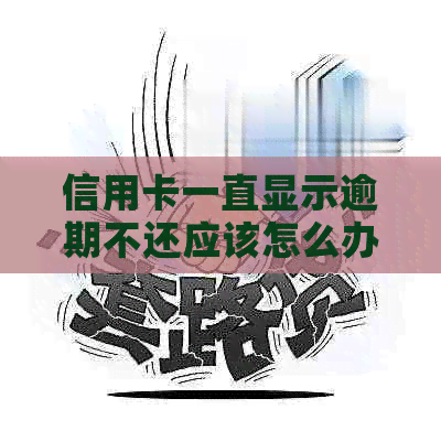 信用卡一直显示逾期不还应该怎么办