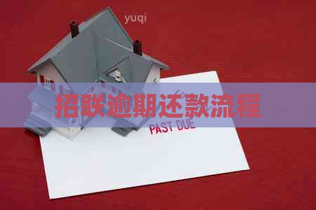 招联逾期还款流程