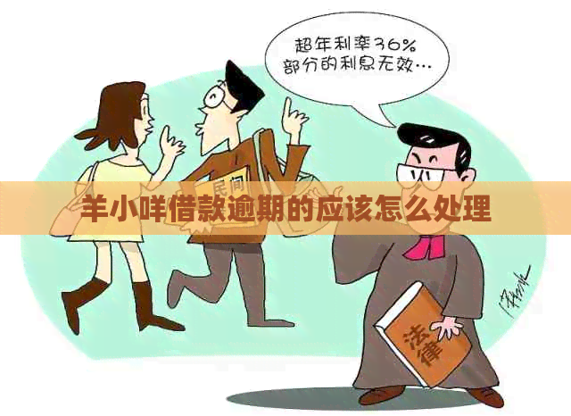羊小咩借款逾期的应该怎么处理