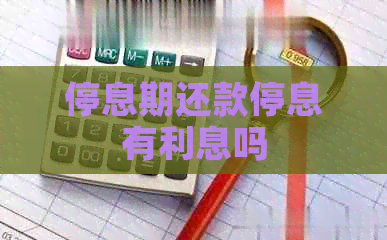 停息期还款停息有利息吗