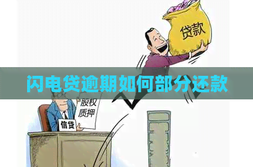 闪电贷逾期如何部分还款