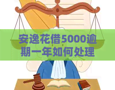安逸花借5000逾期一年如何处理