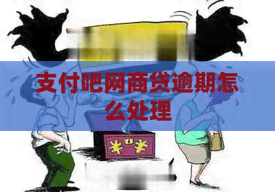 支付吧网商贷逾期怎么处理