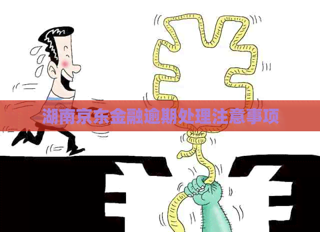 湖南京东金融逾期处理注意事项