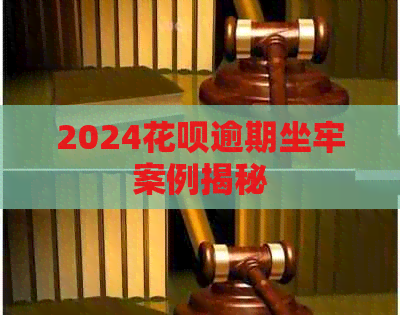 2024花呗逾期坐牢案例揭秘